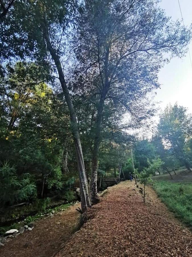 Casa Da Ribeira Do Cirio Pension Seia Buitenkant foto