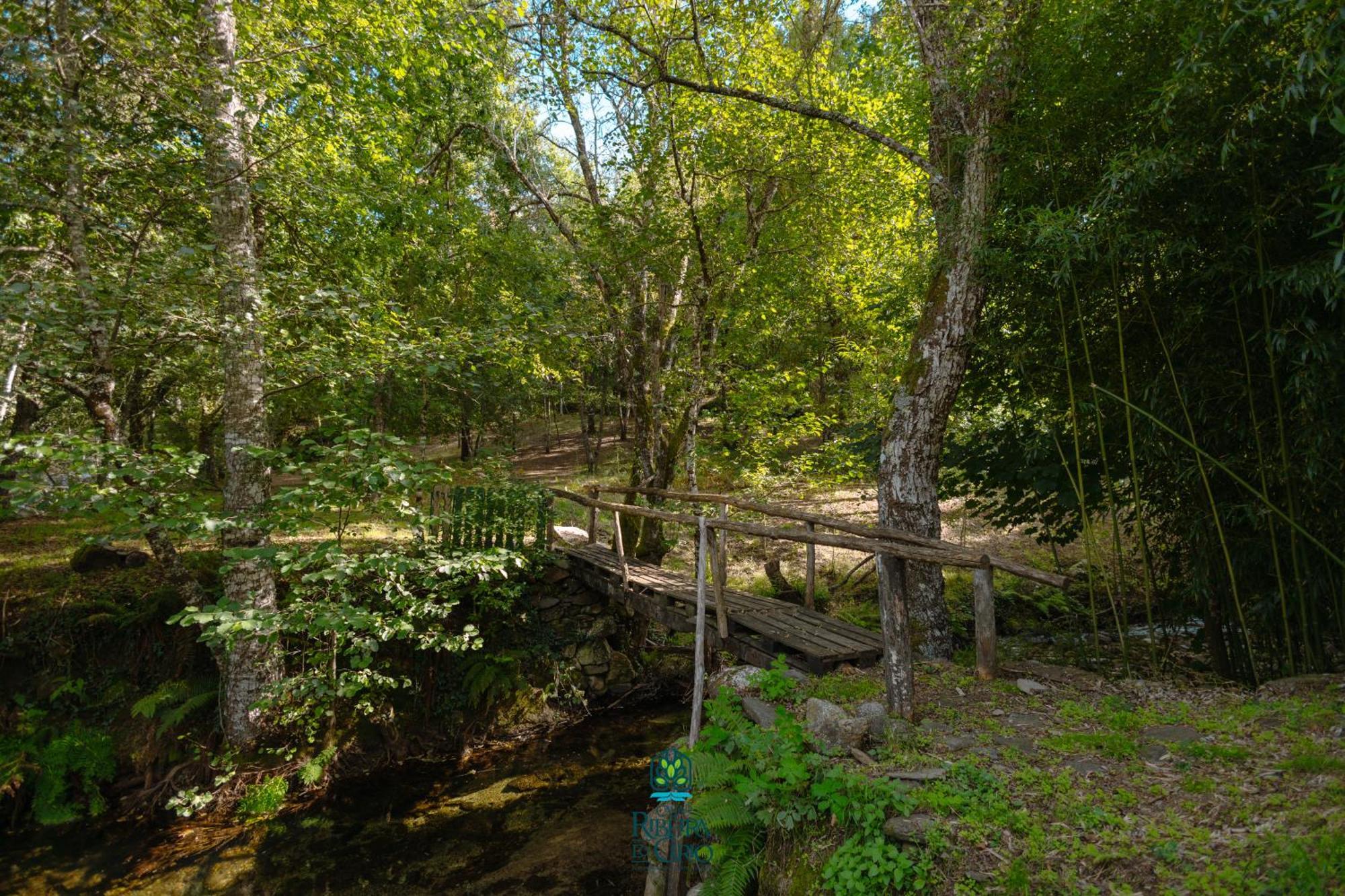 Casa Da Ribeira Do Cirio Pension Seia Buitenkant foto